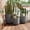Gray, variant on Harper & Bright Designs 3 Pieces Outdoor Concrete Planter Set, Patio Flower Pots Stone-Look Textured with Drainage Holes and Rubber Plug for Garden Poolside, Gray