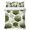 Green, variant on Twin XL Quilt Set 68''x98'', Black Plaid Lightweight Bedspread Coverlet Set with 2 Pillow Shams, Vintage Country Gray Buffalo Check Gingham Breathable All Season Quilt Bedding for Dorm/Guest Room