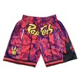 thumbnail image 1 of Raptors Retro Full Embroidered Zipper Pocket Pants, Basketball Dense Embroidered Shorts, Basketball Training Pants-HAPDEN, 1 of 3