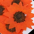 thumbnail image 3 of segolike 6x Fleurs Séchées Pressées Décoration DIY Orange, 3 of 9