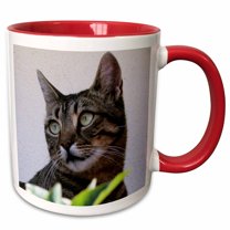 3drose, Cat Portrait - Animal, Moggie, Tabbies, Tabby Cat, Cat, Cats, Cute, 11oz Two-tone Red Mug