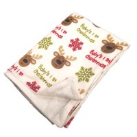 The Holiday Aisle ConCourse Microplush Baby Blanket