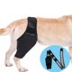 thumbnail image 1 of Dog Knee Brace, Leg Support Brace, Adjustable Rear Leg Braces For Injury Dogs For Torn Acl & Ccl Better Recovery, 1 of 5