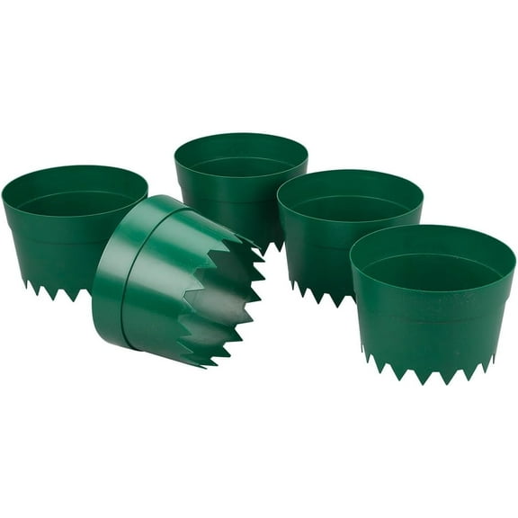 Protective Plant Rings, Set of 5
