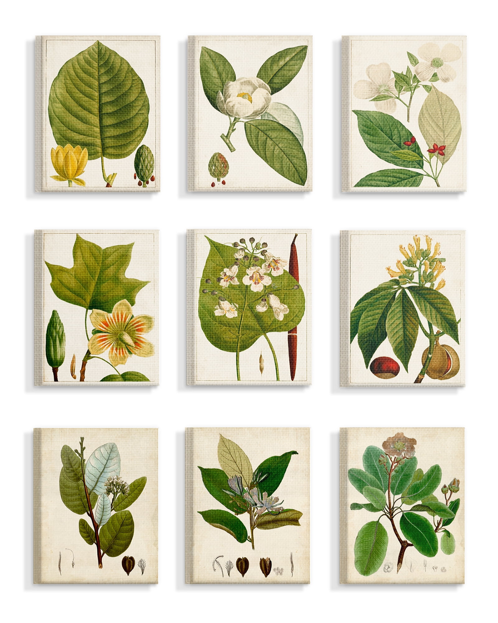 Botanical canvas