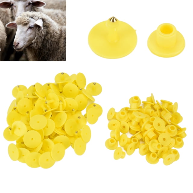 Étiquettes d'Oreille Rondes, Étiquette d'Oreille pour Bétail Résistance à la Traction Élevée Utilisation à Long Terme Pratique Robuste pour pour Renard pour Mouton Vert, Jaune, Orange