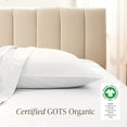 thumbnail image 3 of Bare Home  Organic Cotton Pillowcase Set - Silky Smooth Sateen Weave Standard - White, 3 of 8