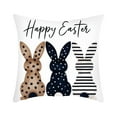 thumbnail image 1 of SIYTUAU Easter Pattern Pillowcase With Hidden Zipper For Spring Holiday Home Decor Bedroom And Living Room Made Of Nylon And Spandex A, 1 of 6