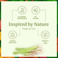 thumbnail image 6 of SVA Lemongrass Essential Oil Organic – 16 Fl Oz – 100% Natural Organic Lemongrass Oil for Hair, Face, Skin Care, Diffuser, Aromatherapy, Scalp, Body Massage, Soap and Candle Making, 6 of 8