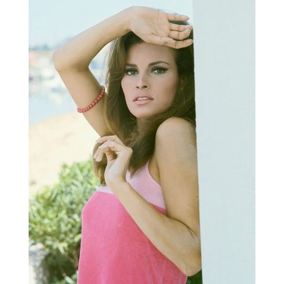 Raquel Welch 24X36 Classic Hollywood Poster Classic 1960's Pose