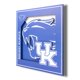 thumbnail image 1 of YouTheFan NCAA Kentucky Wildcats - Arte de pared con logotipo 3D, 12 x 12, 1 of 1
