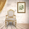 thumbnail image 3 of Weinmann 22x32 Gold Ornate Wood Framed with Double Matting Museum Art Print Titled - Weinmann Leaves III, 3 of 4