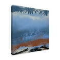 thumbnail image 2 of Trademark Fine Art 'Origin Abstract VI' Canvas Art by Sharon Gordon, 2 of 4