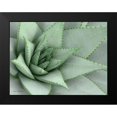 thumbnail image 2 of Seven Trees Design 18x15 Black Modern Framed Museum Art Print Titled - Pointy Tip Succulent, 2 of 5