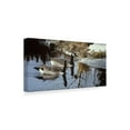 thumbnail image 2 of Trademark Fine Art 'Spring Arrivals Canada Geese' Canvas Art by Ron Parker, 2 of 3