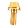 thumbnail image 3 of M5x12mm Botella de Agua Perno Tornillo Rack Socket Mountain cup Parte , Oro DYNWAVEMX Tornillo portabidón Bike Waters, 3 of 6