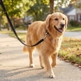 thumbnail image 3 of Vibrant Life Training Leash and Tie-Out for Dogs, 20 ft, Black, 3 of 11