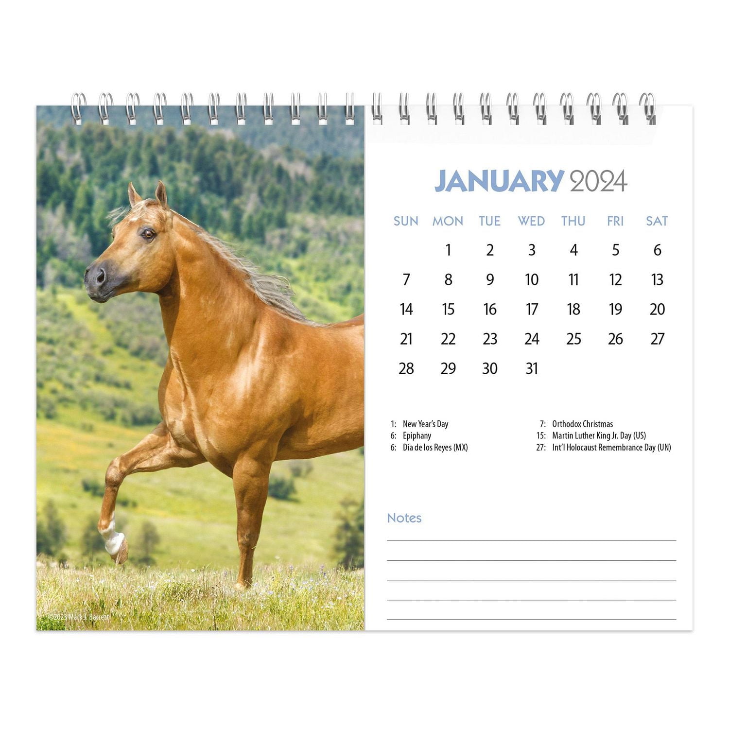 BrownTrout Amoureux des chevaux 2024 Chevalet Double Vue pour Bureau 19x18.7 CM, 9781975471132
