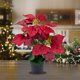 thumbnail image 1 of Decoración en maceta de flores artificiales de Navidad - Planta de plástico blanca y roja para mesa, salón, escalera - 12,6 pulgadas, 1 of 6