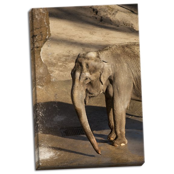 Gango Home Decor Elephant by Karyn Millet (Ready to Hang); One 24x36in Hand-Stretched Canvas