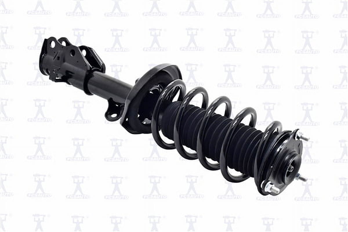 Suspension Strut and Coil Spring Assembly