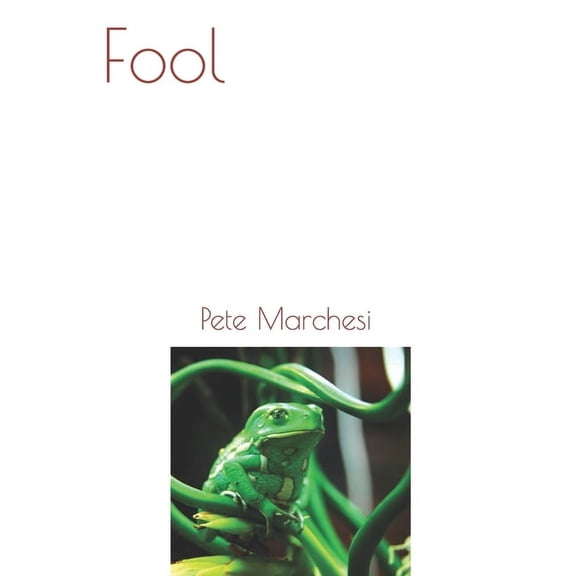 Fool (Paperback)