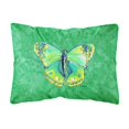 thumbnail image 1 of "Caroline's Treasures 8863PW1216 Almohada decorativa de tela de lona verde mariposa sobre verde, grande, multicolor" Caroline's Treasures 8863PW1216, 1 of 1