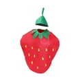 thumbnail image 1 of Disfraz de fruta Fernando para adultos Fresa, 1 of 8