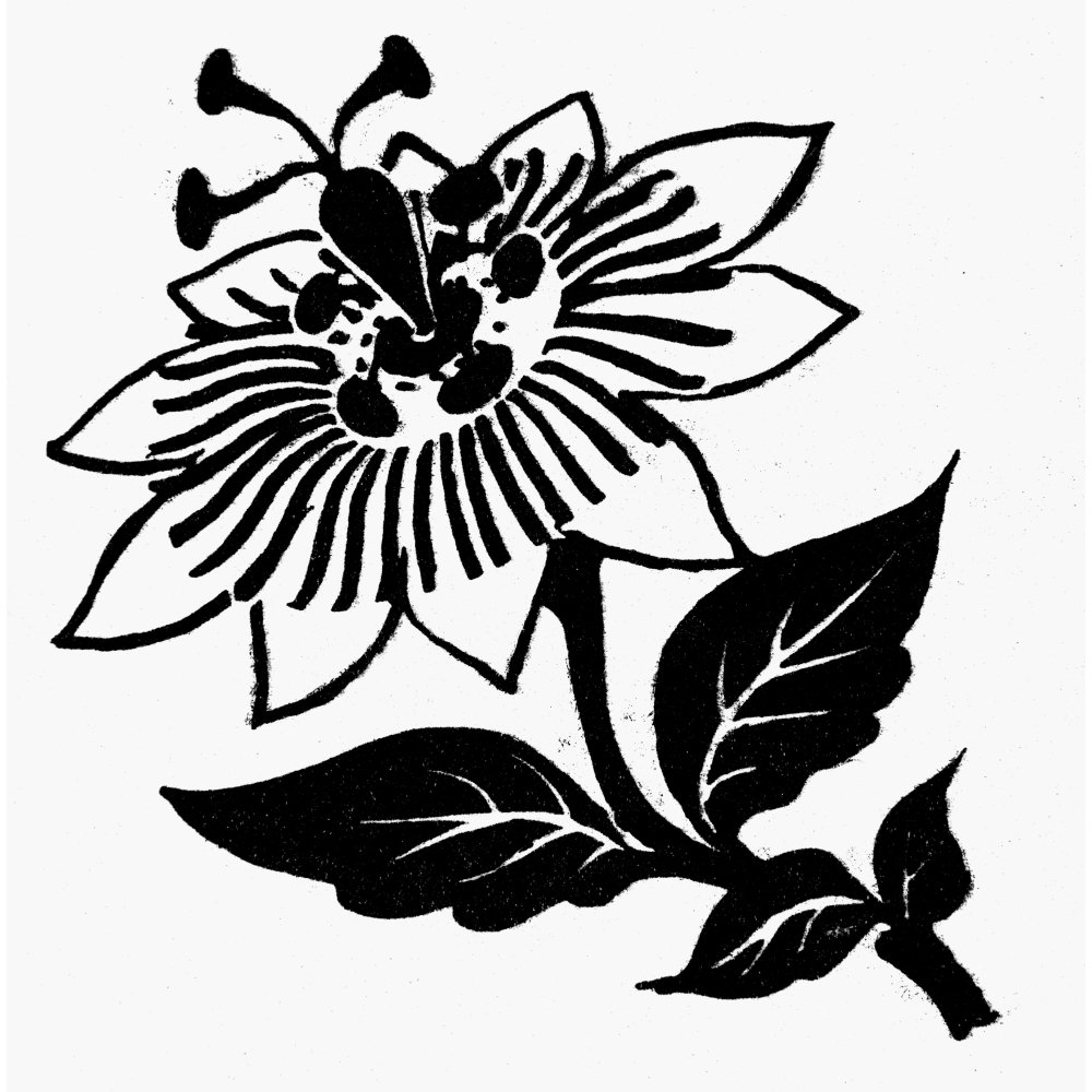 Symbol Passion Flower Nsymbol Of The Passion Of Jesus Christ Line