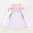 thumbnail image 4 of Toddler Baby Girl Boy Hooded Jacket Vest Hoodie Sleeveless Waistcoat Warm Jacket Outwear with Pocket 1-5 Years, 4 of 11