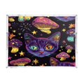 thumbnail image 2 of WOBOGO Acrylic Serving Trays 15.7x11.8 Inch Spill Proof Clear Decorative Organizer with Handle Violet Cat with Different Pupils, 2 of 7