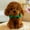 Brown, variant on CSSAD 2025 New 8-inch Simulating Puppies with Black Bow, Pet Dog Plush Doll Yellow Teddy Dog, Children's Birthdays Holiday Gift Boys and Girls Toys