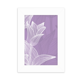 thumbnail image 1 of Marco de Fotos Unbranded Ilustración Flor Planta Tulip 5 x 7 Pulgadas, 1 of 4