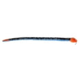 thumbnail image 4 of Aurora - X-Large Multicolor Snake - 50" Blue Malayan Coral Snake - Playful Stuffed Animal, 4 of 4