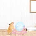 thumbnail image 3 of Clear Hamster Exercise Ball Dwarf Hamster Running Ball Small Animal Exercise Supplies, 3 of 9