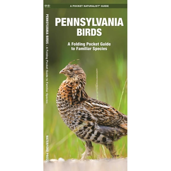 Pennsylvania Birds : A Folding Pocket Guide to Familiar Species - Paperback