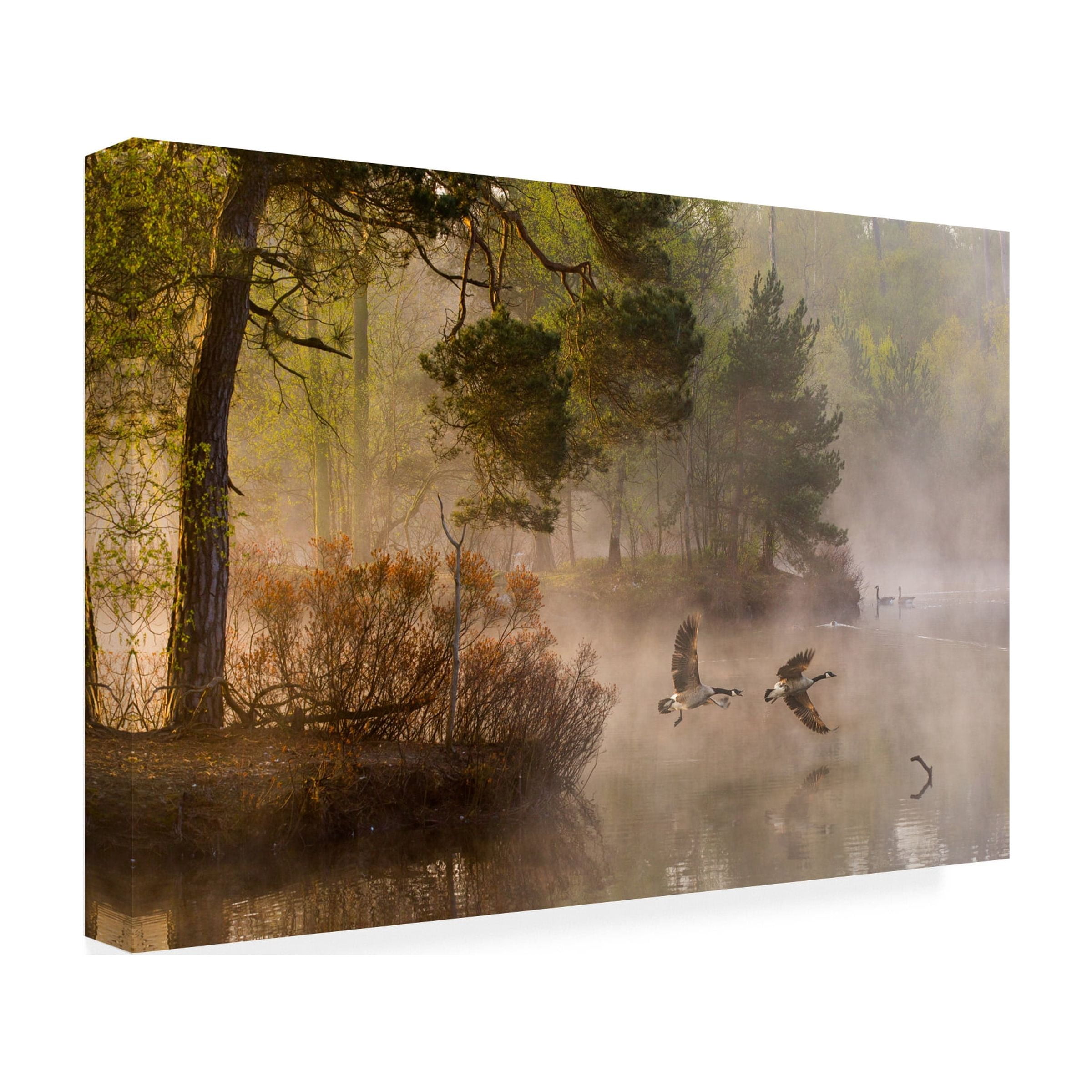 Anton Van Dongen 'Goose Fight' Canvas Art