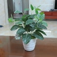 thumbnail image 5 of Shenmeida 3Pcs Artificial Plants Fake Greenery Arrangement Leaf for Garden Wedding Home Outdoors Decorations, 5 of 7