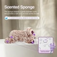 thumbnail image 6 of All For Paws Puppy Plush Snuggling Toy with Squeaker, Lavender Scented Dog Sleep Aid & Anxiety Relief Toy, Sloth, 6 of 7