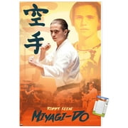 Cobra Kai - Robby Wall Poster, 22.375" x 34"