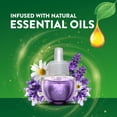 thumbnail image 3 of Air Wick Plug in Scented Oil Refills, Lavender and Chamomile, Eco Friendly, Essential Oils, Air Freshener, 0.67 Fl Oz (Pack of 10), 3 of 9
