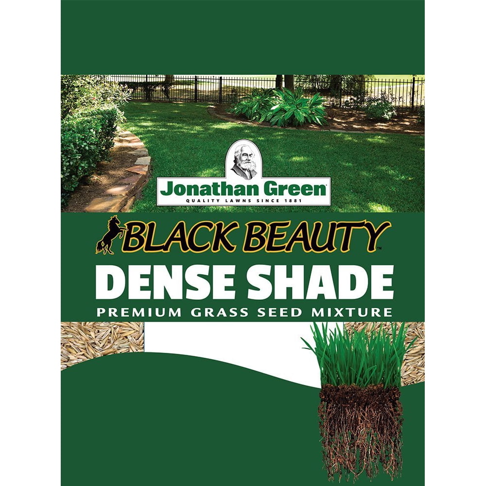 Jonathan Green 10620 Dense Shade Grass Seed Mix, 7 Pounds