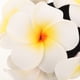 thumbnail image 3 of ColoMX Coleteros con flores de plumeria hawaianas, cintas florales para el pelo para mujeres, festivales, bodas y vacaciones en la playa., 3 of 7