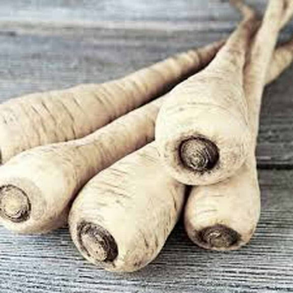 Parsnip, Hollow Crown Seeds, Non GMO, 500 Seeds per Pack, Sweet White Flesh has Good Flavor and Keeps Well Over Winter.