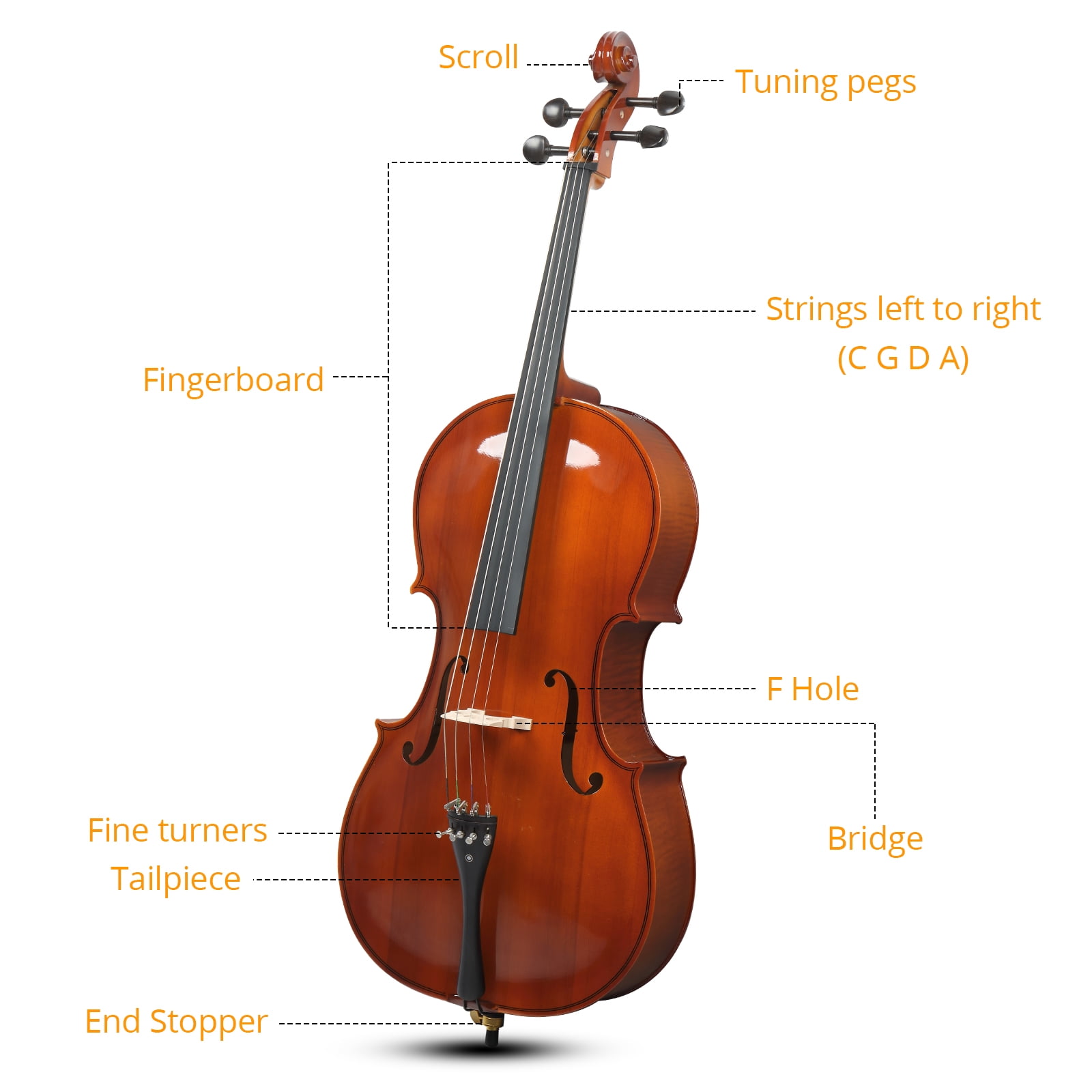 Ktaxon 4/4 Full Size Cello with Bag Bow Rosin Bridge for Beginners, Brown