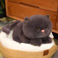 thumbnail image 2 of 25/35CM Precioso juguete de peluche de gato perezoso de simulación suave animal de peluche blanco negro marrón gato muñeca decoración del hogar regalo de cumpleaños, 2 of 5