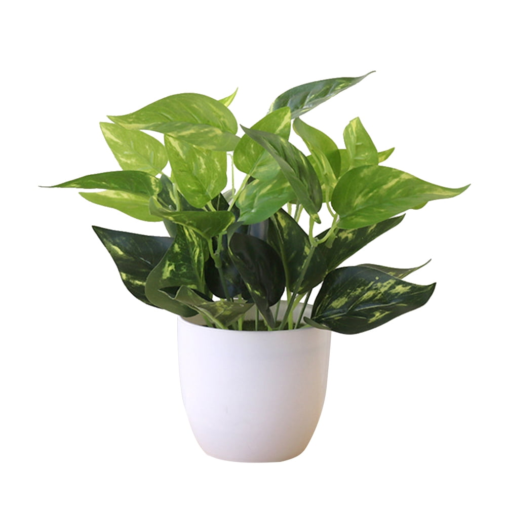 Limei Mini Fake Succulent Plants Artificial Plastic Succulents Potted Faux Eucalyptus Plants for Home Office Table Decoration (White Plastic Pots)