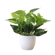 Manunclaims Fresh Artificial Foliage Plants with White Vase Small Artificial Tree for Office Desktop Decor Fake Plants for Home and Office Indoor Decorations