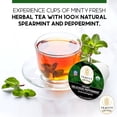 thumbnail image 5 of Organic Delicious Peppermint Tea Pods for Keurig Brewers by Teavity - Naturally Decaffeinated Peppermint Tea, 24 Tea Pods, 5 of 9