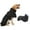 Extra Large Dog Insulated Winter Black, variant on YaoZQ Small Dog Warm Winter Cloak Waterproof, 1 Pack, Adjustable High Neck Puppy Coat, Thick Reflective Snow Jacket, Breathable Cold Weather Outdoor Clothes for Chihuahua Yorkie Black, Size S